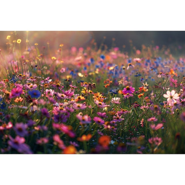Flower Field Painting